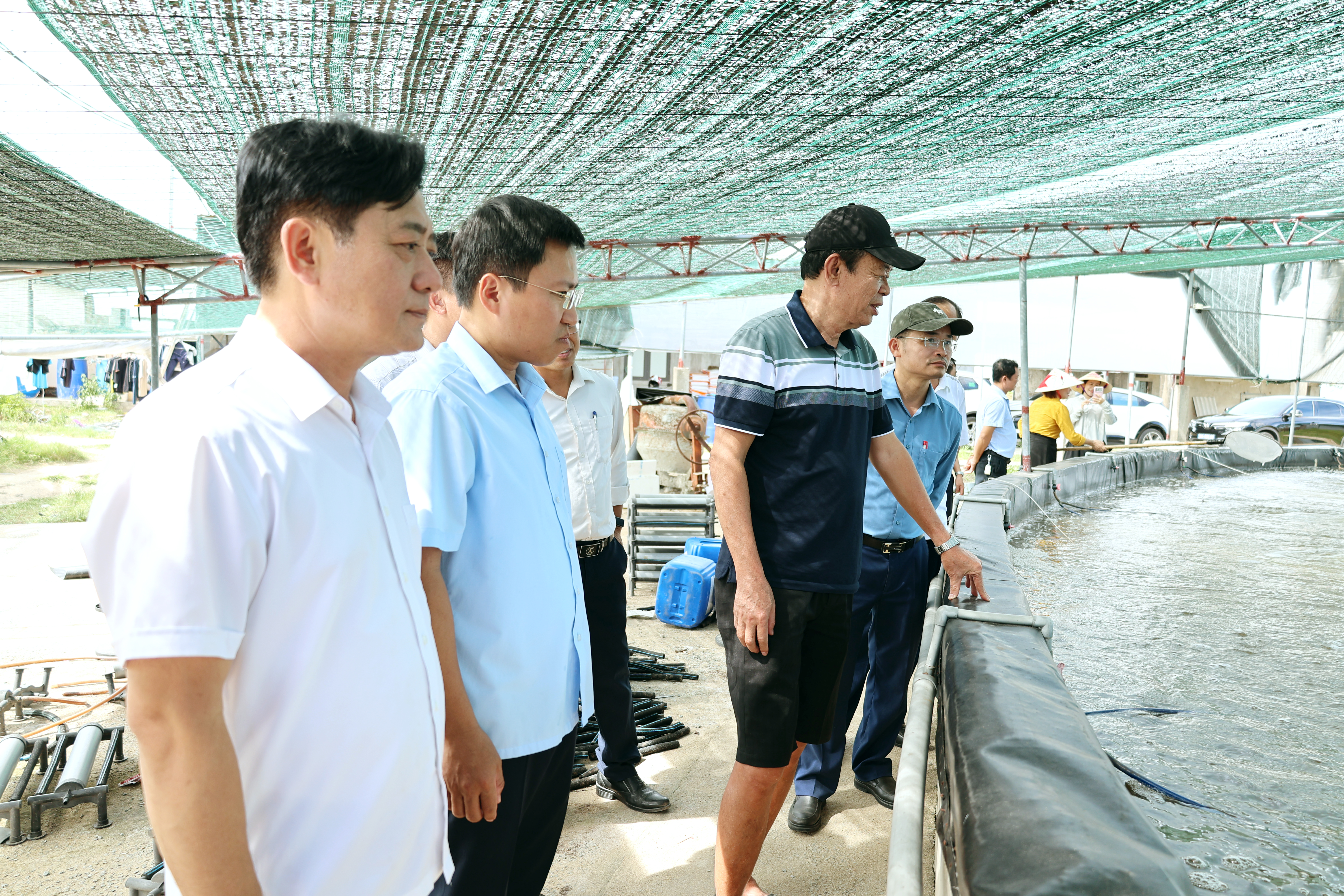 HĐND phường Trần Phú giám sát chuyên đề các mô hình phát triển sản xuất