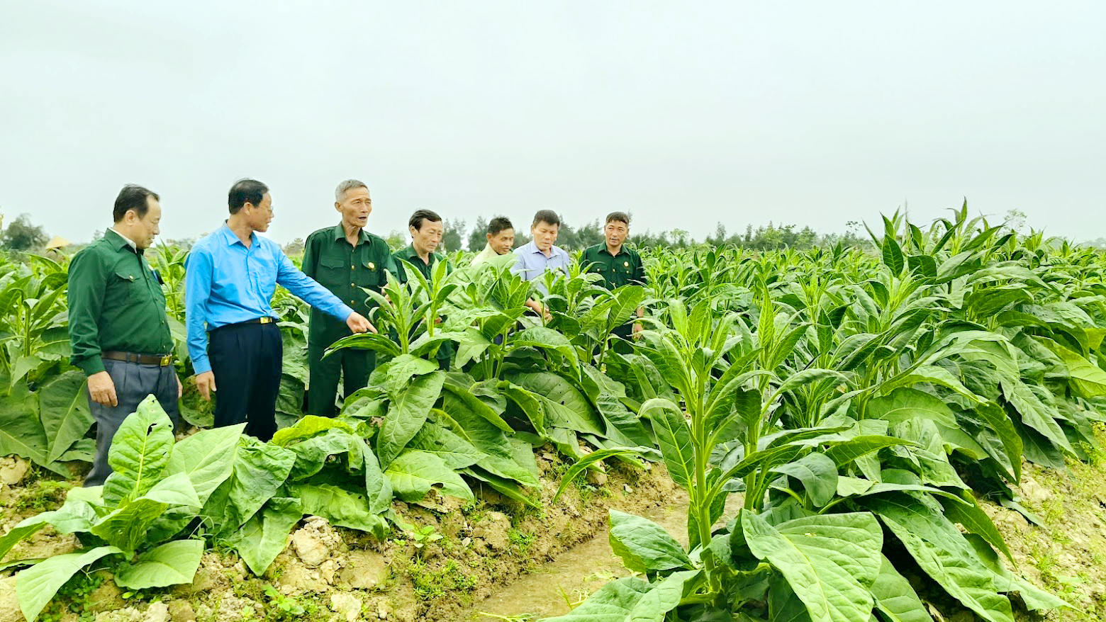 Trần Phú chủ động nâng cao chất lượng nguồn nhân lực, tạo việc làm cho người lao động