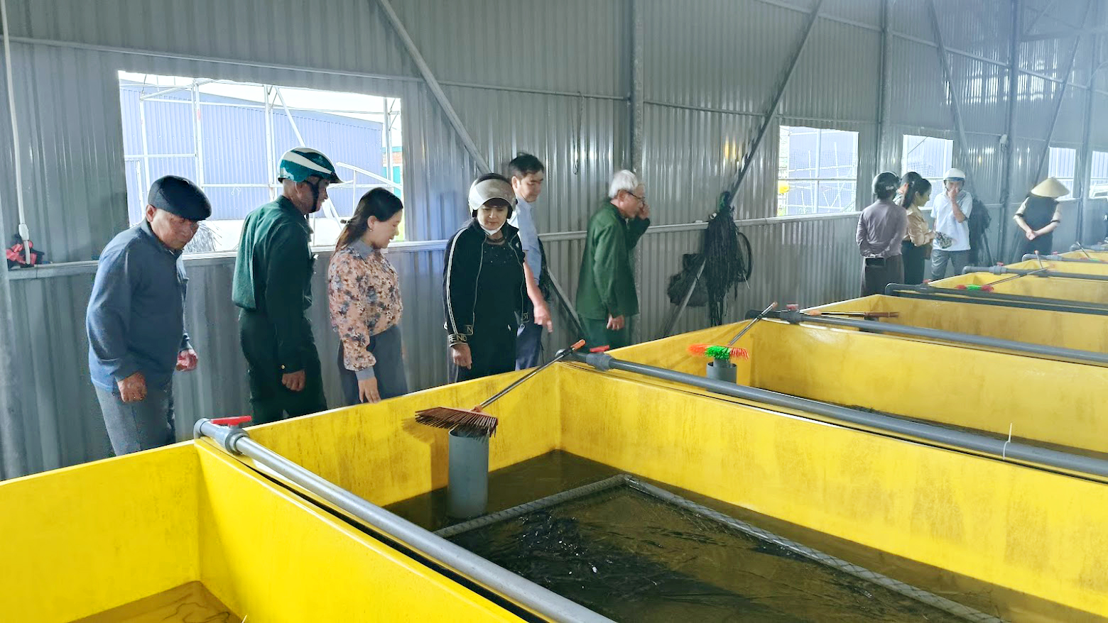 Tập huấn kỹ thuật nuôi lươn không bùn – hướng đi hiệu quả trong chuyển đổi sản xuất nông nghiệp