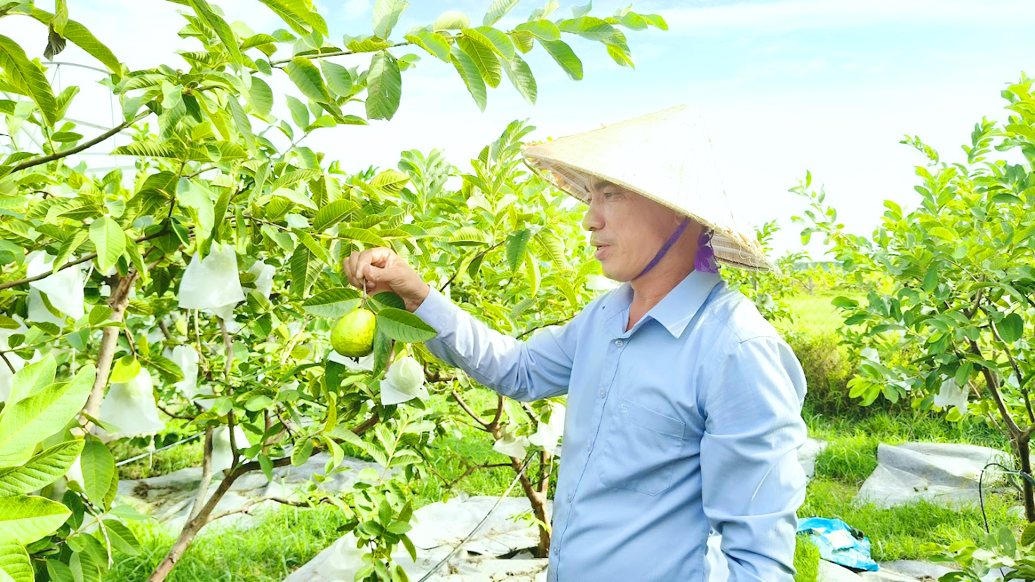 Người cán bộ dân phố giỏi làm kinh tế