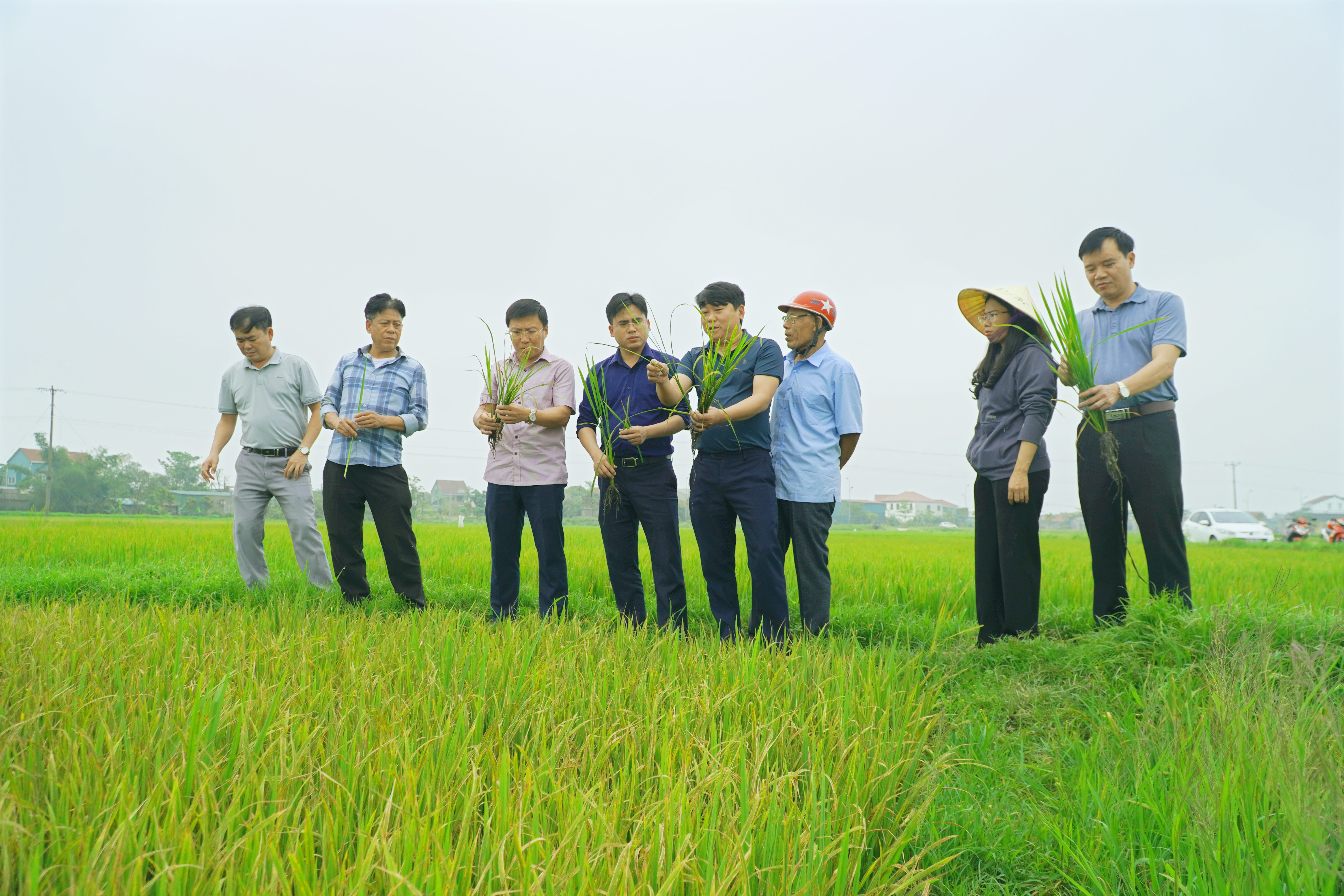 Lãnh đạo phường Trần Phú kiểm tra, chỉ đạo sản xuất nông nghiệp và các mô hình kinh tế