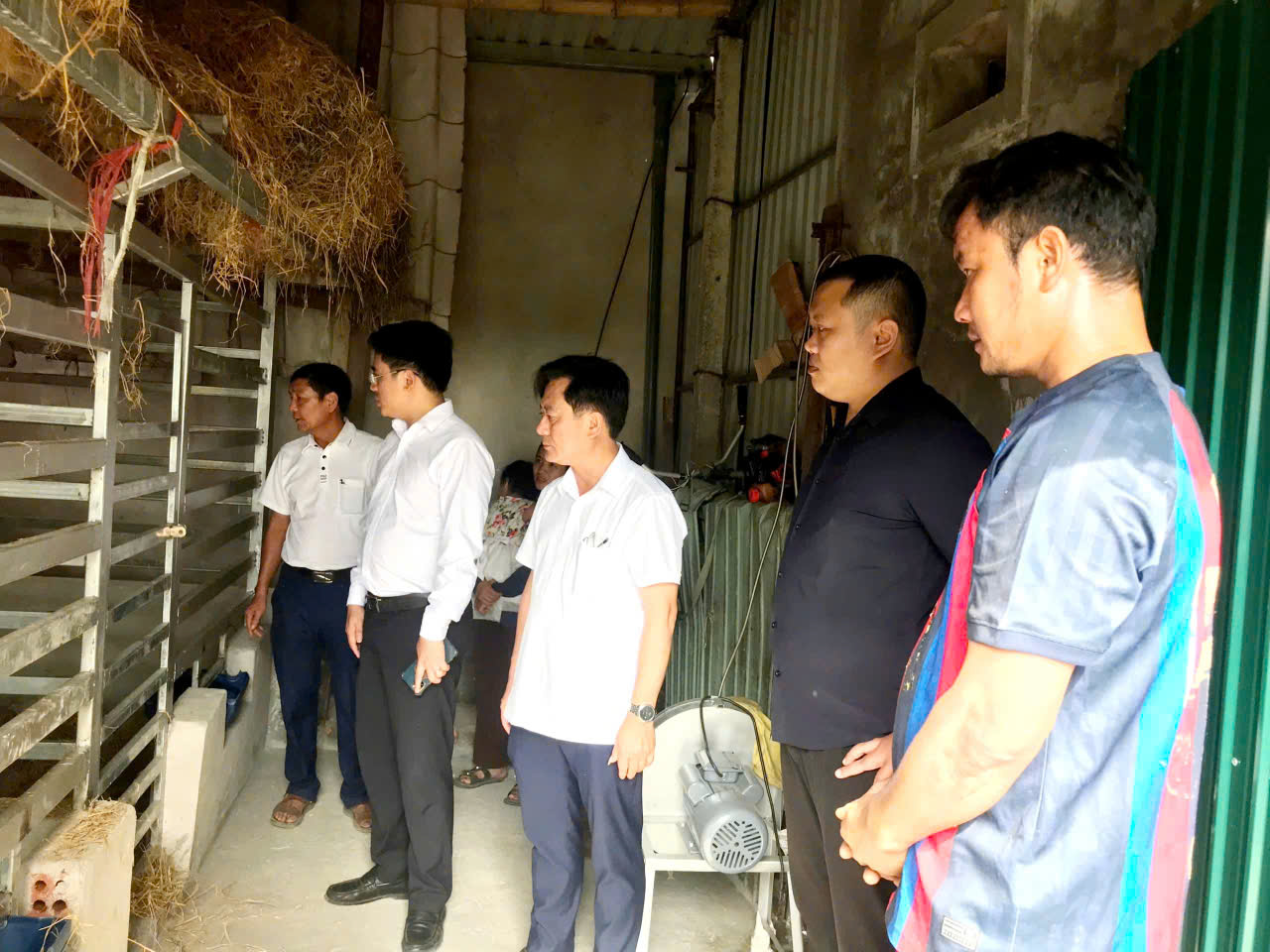 Bàn giao 11 con hươu giống cho 5 hộ nghèo, cận nghèo, tạo sinh kế bền vững