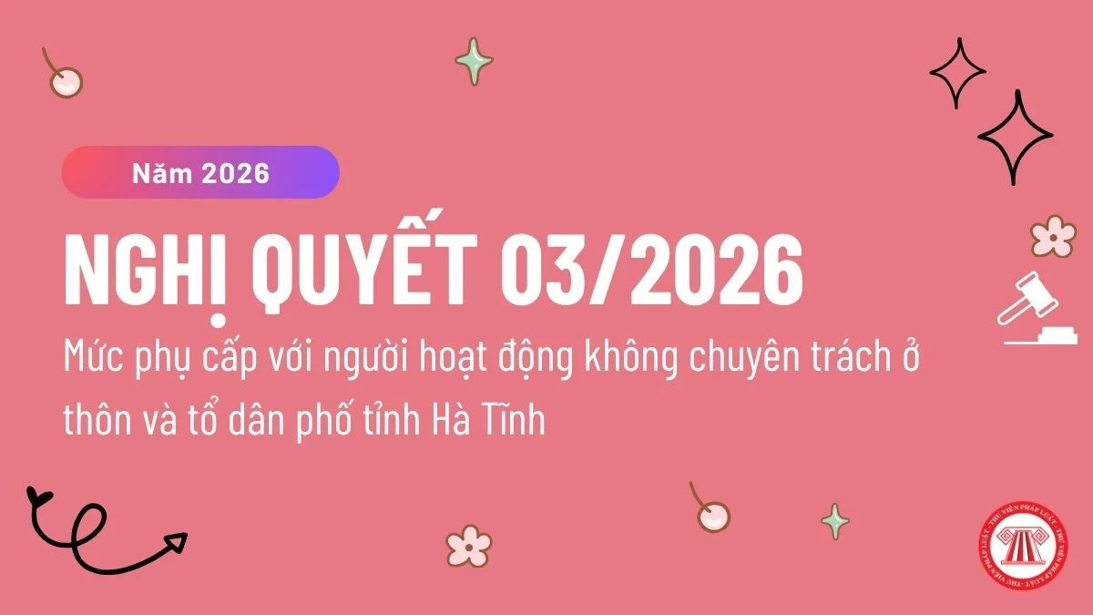 Nghị quyết số 03/2026/NQ-HĐND ngày 19/6/2026 của HĐND tỉnh Hà Tĩnh 
