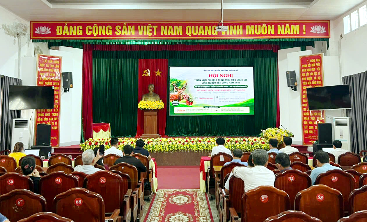 Phường Trần Phú triển khai chương trình giảm nghèo bền vững gắn với hỗ trợ phát triển sản xuất nông nghiệp