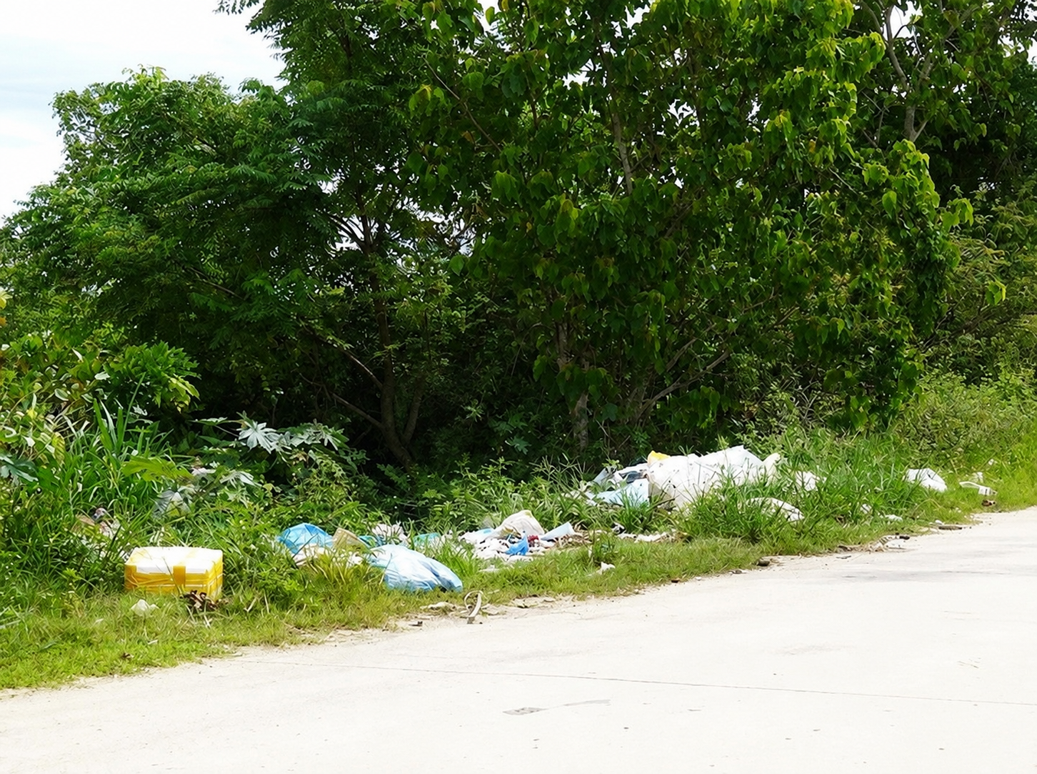 Tăng cường quản lý chất thải, kiên quyết xử lý tình trạng đổ trộm rác thải bảo vệ môi trường đô thị