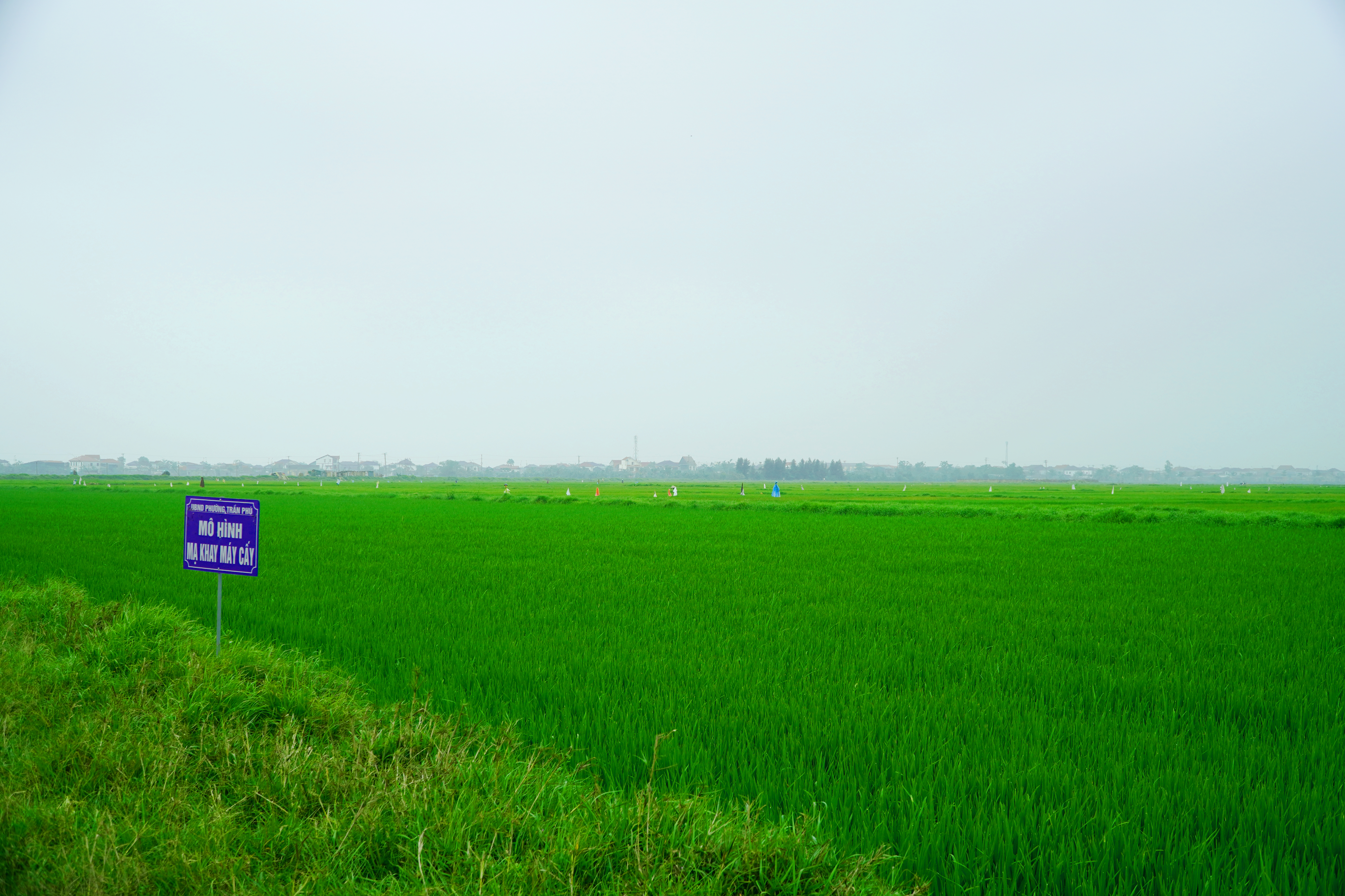 Chủ động ứng phó nắng nóng, quyết tâm giành thắng lợi vụ xuân 2026